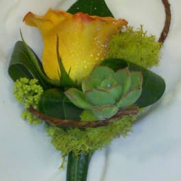 Yellow rose boutonniere with succulents and green accents