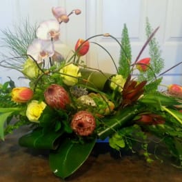 Low floral arrangement with orchids, tulips, and protea in a container