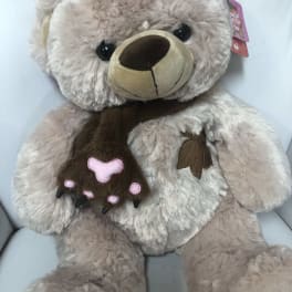 Large teddy Bear
