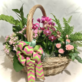 Basket of pink orchids, peach roses, and blooming plants with a large green and pink bow and small bird accent