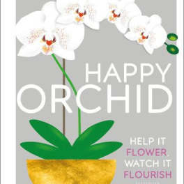 Happy Orchid