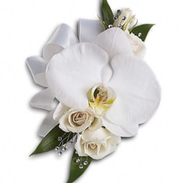 White orchid corsage with cream roses and silver accents