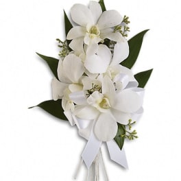 White orchid bouquet with dark green leaves and a white ribbon