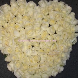 Heart-shaped arrangement of white roses on a dark background
