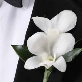Prom boutonniere white dendrobium orchid