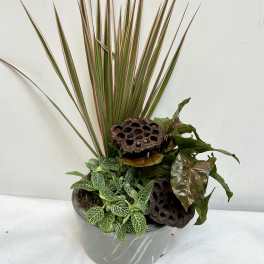 Potted plant arrangement with spiky red-edged leaves and assorted foliage in a gray container