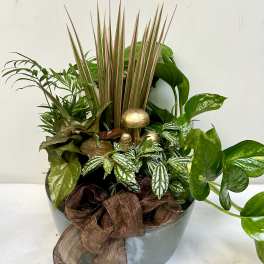 Mixed potted plants in a gray container with a brown ribbon