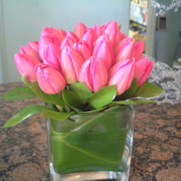 Pink tulips arranged in a clear square vase