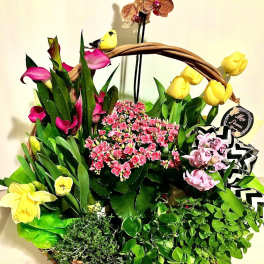 Wicker basket of mixed spring plants with yellow tulips, daffodils, orchids, and pink blooms plus a small bird decoration