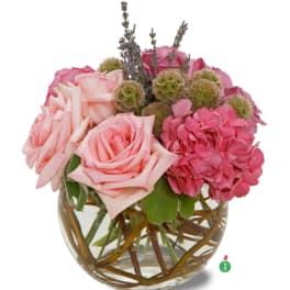 Short pink rose and hydrangea arrangement in a round glass vase