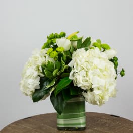 White hydrangeas and green flowers in a striped glass vase
