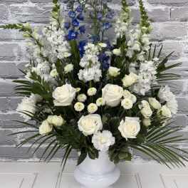White roses and blue delphinium in a white urn vase