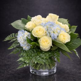 Ivory Bloom