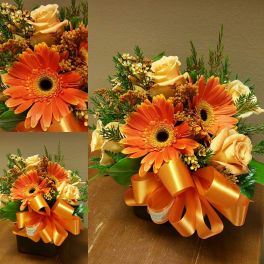 Orange gerbera daisies and peach roses in a black box with an orange ribbon