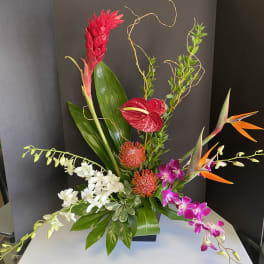 Tropical arrangement with red anthurium, orchids, and bird of paradise in a black vase
