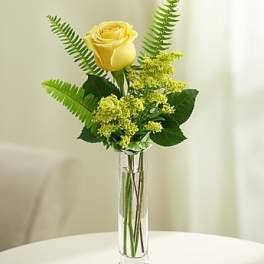 Love's Embrace Roses - Yellow 1 stem