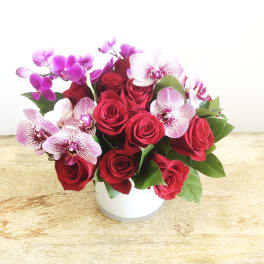 Red roses and pink orchids arranged in a white vase