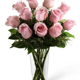 A Dozen Pink Roses