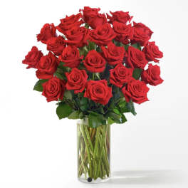 Two Dozen Long Stemmed Roses by BloomNation™