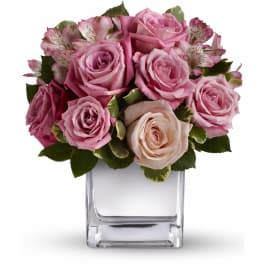 Compact arrangement of pink and cream roses with alstroemeria in a clear glass cube vase