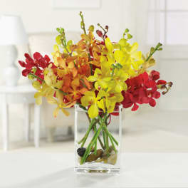 Compact arrangement of red, orange, and yellow orchids in a clear glass vase with stones