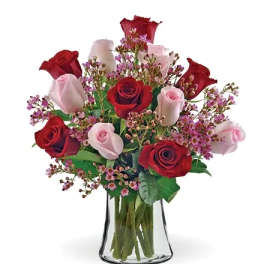 Shades of Pink and Red - Premium Long Stem Roses