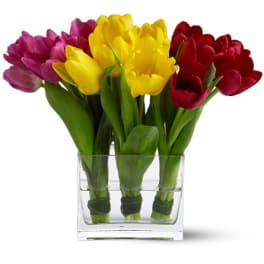 Low rectangular glass vase filled with yellow, pink, and red tulips grouped in color blocks