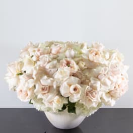 Low arrangement of ivory and blush roses densely packed in a white ceramic bowl