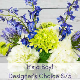 Blue and white floral arrangement with lime-green blooms and an "It's a Boy!" sign
