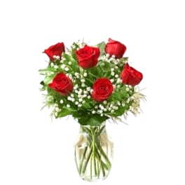 Arrangement of six red roses with white filler flowers in a clear glass vase