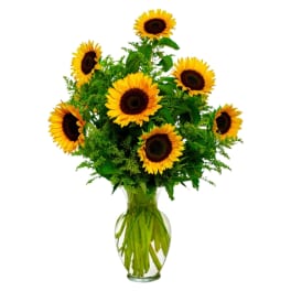 Tall arrangement of yellow sunflowers with dark centers in a clear glass vase