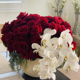 Large arrangement of red roses with white orchids in a cream vase