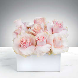 Low arrangement of pale pink roses in a white rectangular vase