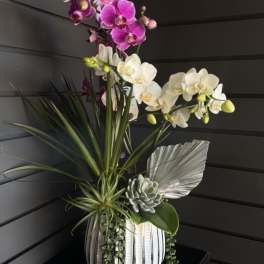 Orchid arrangement in a ribbed white vase with succulents and decorative leaves