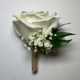 White rose boutonniere with baby's breath and dark green leaves