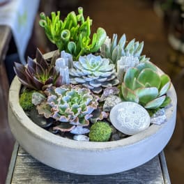 Succulent Garden With Engraved Selenite Mandala