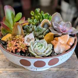 Succulent arrangement in a shallow bowl with decorative crystals