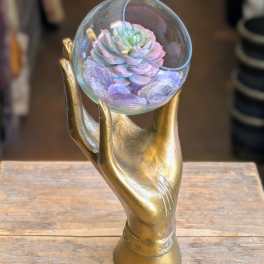 Succulent in a glass orb held by a gold hand sculpture