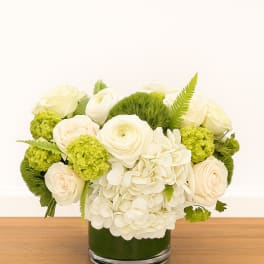 Low arrangement of white hydrangeas and cream roses with green accents in a clear glass cylinder vase