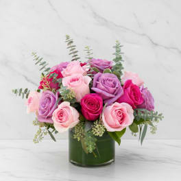 Modern Pink and Purple Roses