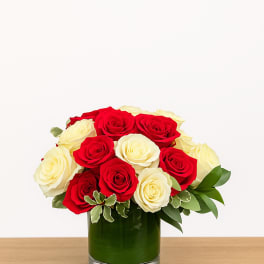 Red and cream roses arranged tightly in a short glass vase lined with green foliage.