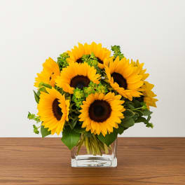 Sunflower bouquet in a clear square glass vase
