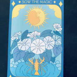Illustrated moonflower card with white blooms and a sun and lobster motif