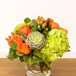 Orange roses and green hydrangea in a clear glass vase