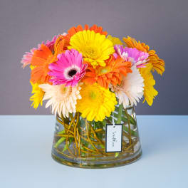 Bright gerbera daisies arranged in a clear glass vase