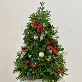 Boxwood Tree by Westford Florist Art by Veny