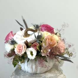 White Pumpkin Delight by Westford Florist Art by Veny