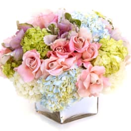 Pink Roses, Blue and Green Hydrangeas
