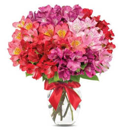 Bouquet of pink and red alstroemeria in a glass vase with a red ribbon