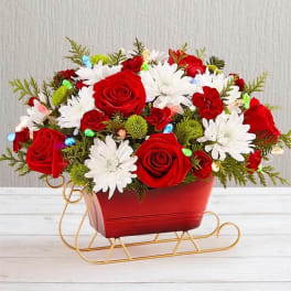 Red roses and white daisies in a red sleigh-shaped container